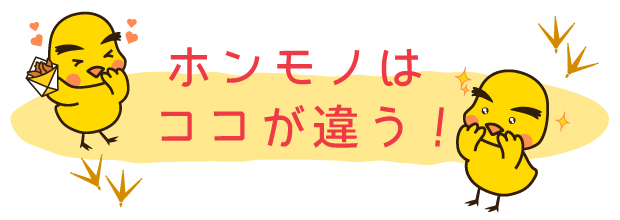 金のとりからメッセージ02