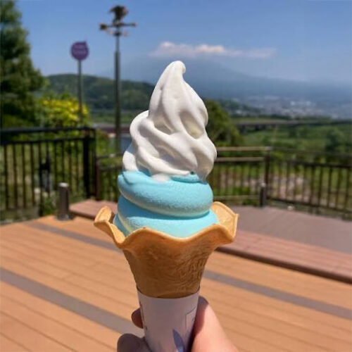 富士山ソフト